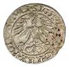 mini: Półgrosz 1564 Zygmunt II August Litwa Wilno (2)