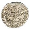 mini: Półgrosz 1563 Zygmunt II August Litwa Wilno (2)