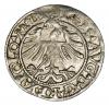 mini: Półgrosz 1563 Zygmunt II August Litwa Wilno (2)