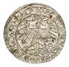 mini: Półgrosz 1563 Zygmunt II August Litwa Wilno (2)