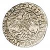 mini: Półgrosz 1563 Zygmunt II August Litwa Wilno (2)