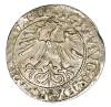 mini: Półgrosz 1562 Zygmunt II August Litwa Wilno (2)