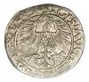 mini: Półgrosz 1562 Zygmunt II August Litwa Wilno (2)