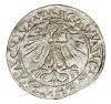 mini: Półgrosz 1562 Zygmunt II August Litwa Wilno (2)