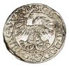 mini: Półgrosz 1562 Zygmunt II August Litwa Wilno (2)