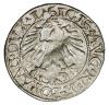 mini: Półgrosz 1562 Zygmunt II August Litwa Wilno (2)