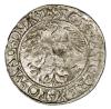 mini: Półgrosz 1562 Zygmunt II August Litwa Wilno (2)