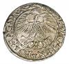 mini: Półgrosz 1561 Zygmunt II August Litwa Wilno (2)