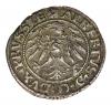 mini: Szeląg 1531 Albrecht Hohenzollern Księstwo Pruskie Królewiec (2)