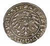 mini: Szeląg 1531 Albrecht Hohenzollern Księstwo Pruskie Królewiec (2)