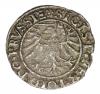 mini: Szeląg 1533 Zygmunt I Stary Elbląg Elbląg (2)