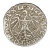 mini: Półgrosz 1551 Zygmunt II August Litwa Wilno (2)