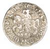 mini: Półgrosz 1556 Zygmunt II August Litwa Wilno (1)