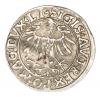 mini: Półgrosz 1556 Zygmunt II August Litwa Wilno (2)