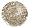 mini: Półgrosz 1556 Zygmunt II August Litwa Wilno (1)