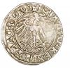 mini: Półgrosz 1556 Zygmunt II August Litwa Wilno (2)