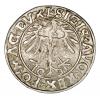 mini: Półgrosz 1556 Zygmunt II August Litwa Wilno (2)