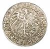mini: Półgrosz 1556 Zygmunt II August Litwa Wilno (2)