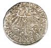 mini: Półgrosz 1557 Zygmunt II August Litwa Wilno (2)