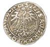 mini: Półgrosz 1557 Zygmunt II August Litwa Wilno (2)