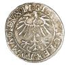 mini: Półgrosz 1557 Zygmunt II August Litwa Wilno (2)