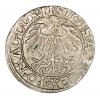 mini: Półgrosz 1557 Zygmunt II August Litwa Wilno (2)