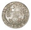 mini: Półgrosz 1558 Zygmunt II August Litwa Wilno (2)