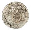 mini: Półgrosz 1558 Zygmunt II August Litwa Wilno (2)