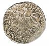 mini: Półgrosz 1559 Zygmunt II August Litwa Wilno (2)