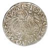 mini: Półgrosz 1559 Zygmunt II August Litwa Wilno (2)