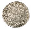 mini: Półgrosz 1559 Zygmunt II August Litwa Wilno (2)