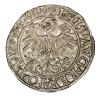 mini: Półgrosz 1560 Zygmunt II August Litwa Wilno (2)