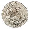 mini: Półgrosz 1560 Zygmunt II August Litwa Wilno (2)