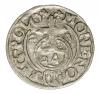 mini: Półtorak 1623 Zygmunt III Waza Polska Bydgoszcz (1)
