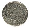 mini: 15976 (2)