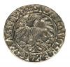 mini: Półgrosz 1559 Zygmunt II August Litwa Wilno (2)