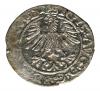 mini: Półgrosz 1565 Zygmunt II August Wilno (2)