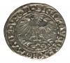 mini: Półgrosz 1556 Zygmunt II August Wilno (2)