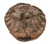 mini: 15638 (2)