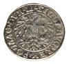 mini: Półgrosz 1548 Zygmunt II August Wilno (2)