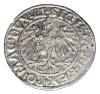 mini: Półgrosz 1547 Zygmunt II August Litwa Wilno (2)