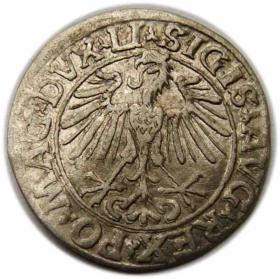 Obrazek 2 dla: Półgrosz 1548 Zygmunt II August Wilno