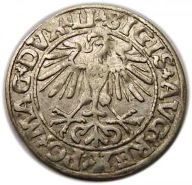 Obrazek dla: Półgrosz 1550 Zygmunt II August Wilno