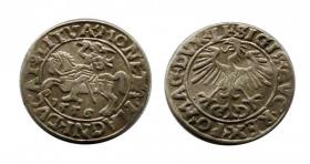 Obrazek dla: Półgrosz 1556 Zygmunt II August Wilno