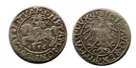 Obrazek dla: Półgrosz 1556 Zygmunt II August Wilno