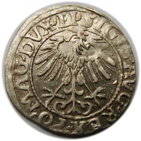 Obrazek 2 dla: Półgrosz 1557 Zygmunt II August Wilno