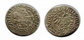 Obrazek dla: Półgrosz 1558 Zygmunt II August Wilno