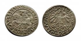 Obrazek dla: Półgrosz 1558 Zygmunt II August Wilno