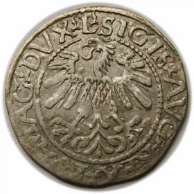 Obrazek 2 dla: Półgrosz 1560 Zygmunt II August Wilno