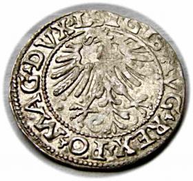 Obrazek 2 dla: Półgrosz 1562 Zygmunt II August Wilno